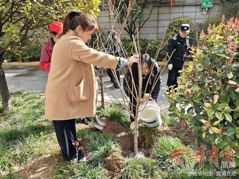 108坊故事互助社区开展集中植树活动(图1)