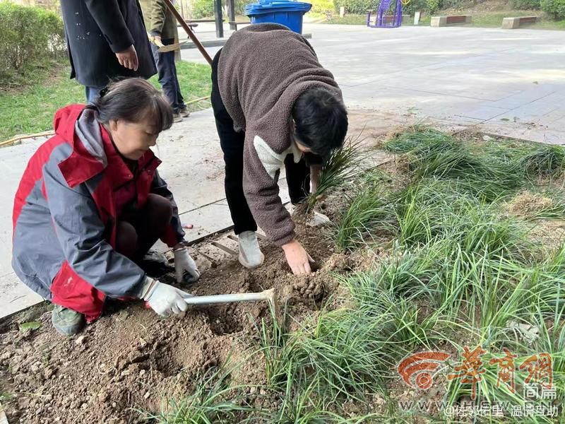 108坊故事互助社区开展集中植树活动(图2)