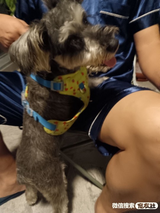 聚力赋能“心连心”——河南心连心化学工业集团工会工作纪实(图1)