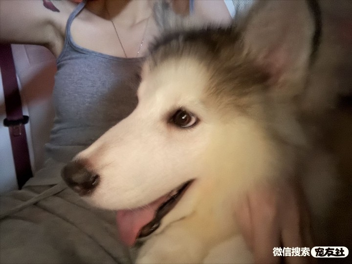互助养老与你息息相关(图1)