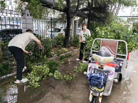 巧手修剪绿家园——济宁市任城区仙营街道南岱社区志愿服务扮靓老旧小区(图2)
